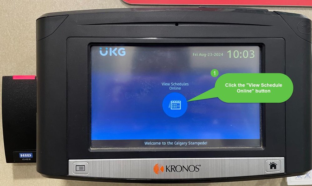 Kronos timecard reader screen with the View Schedules Online button